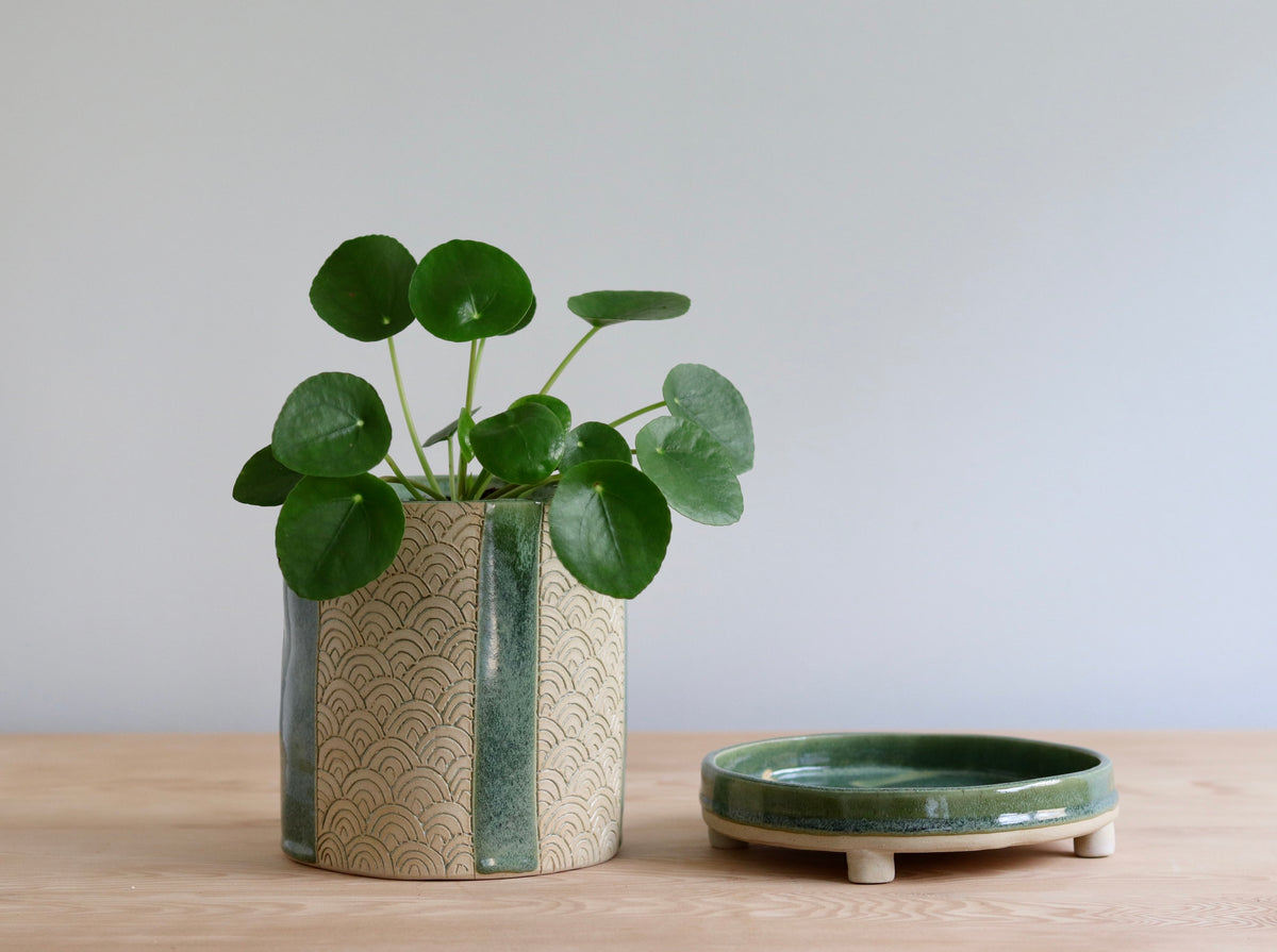 Planter - Scale design - with green and white accents