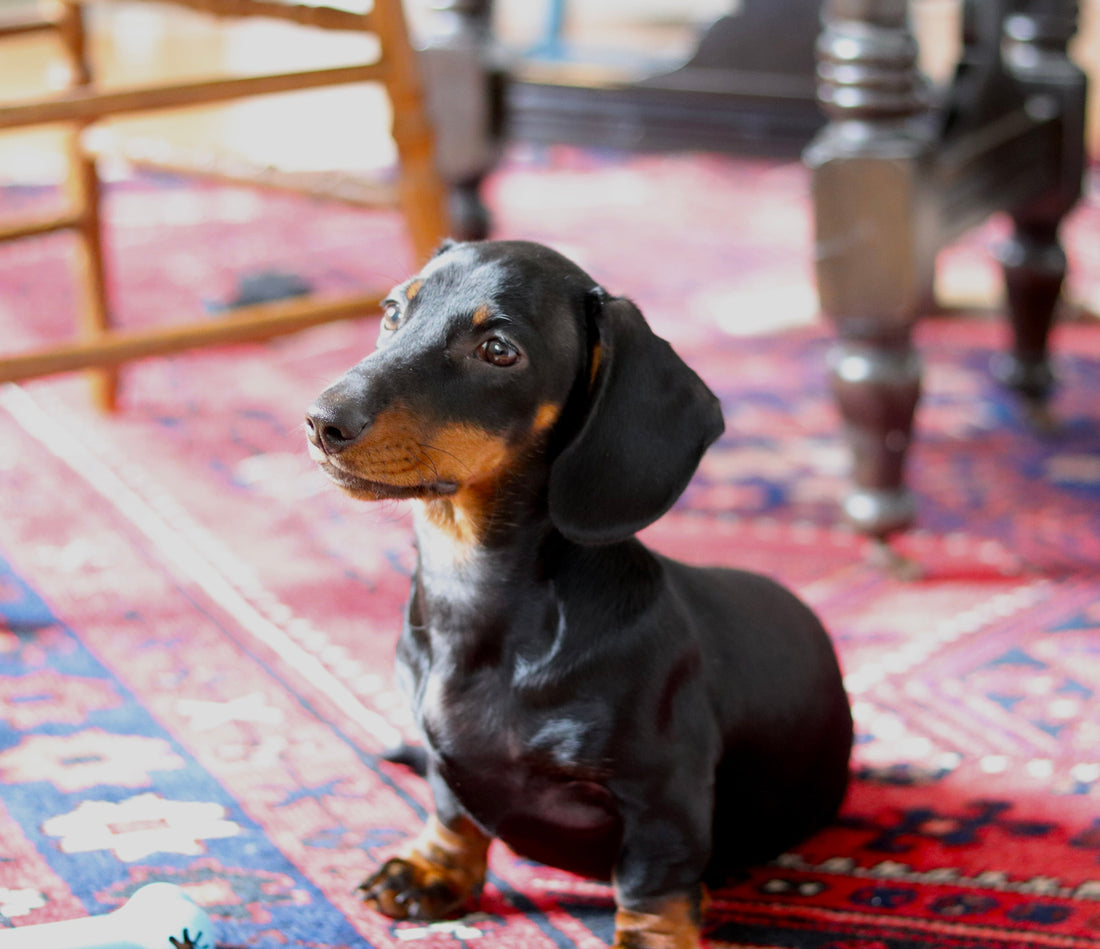 The New Studio Manager