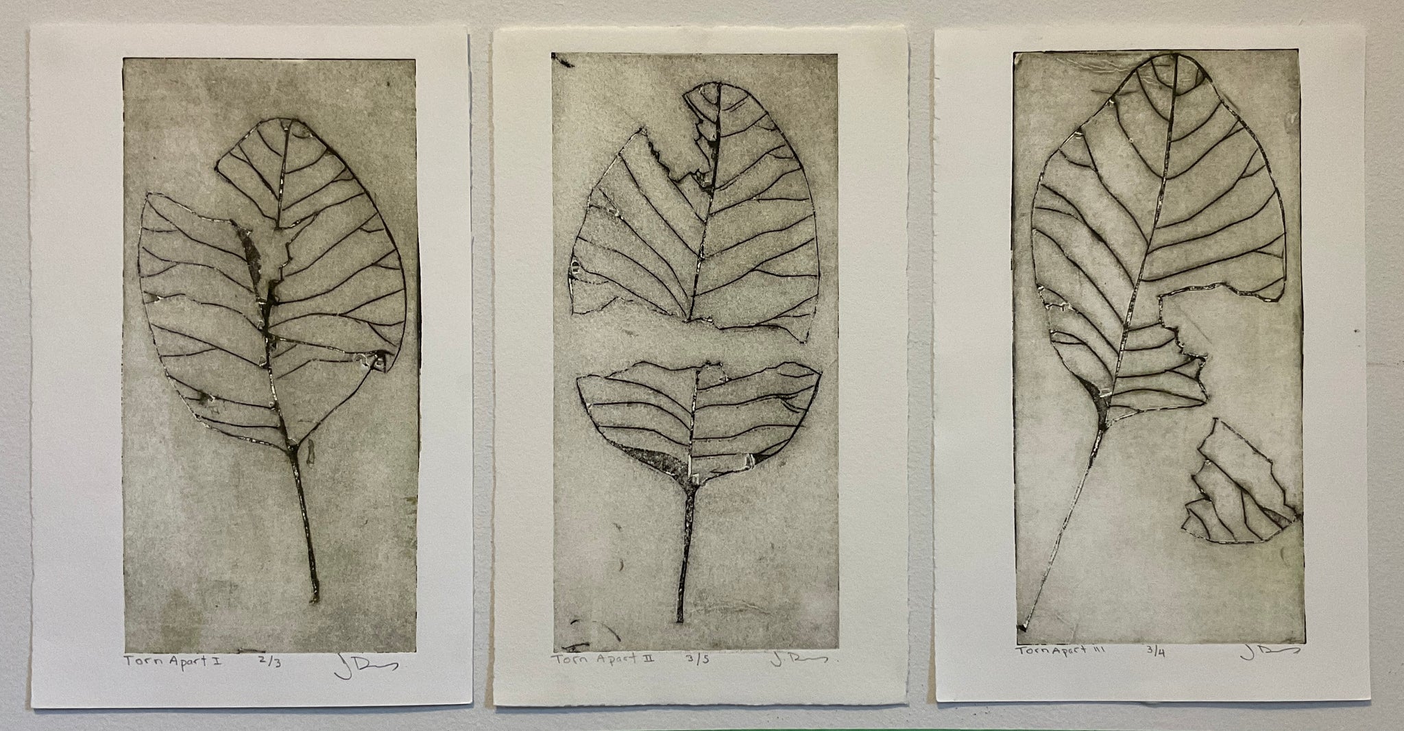 MEET PRINTMAKER JANINE DUNS