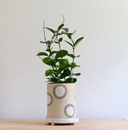 Planter - Circle design - with white accents