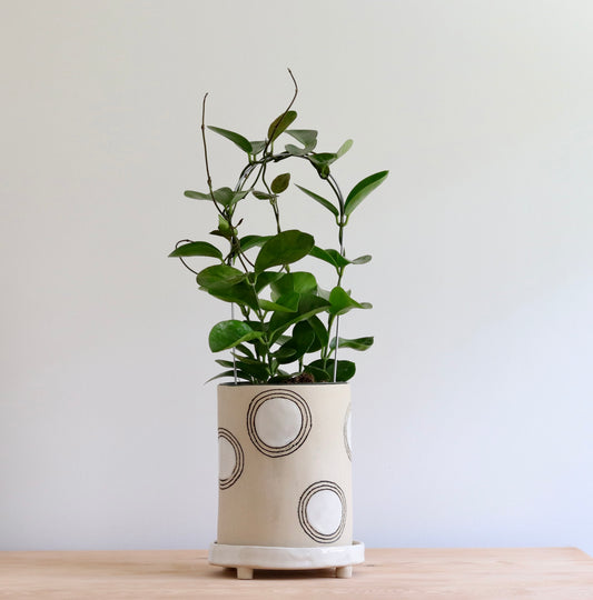 Planter - Circle design - with white accents