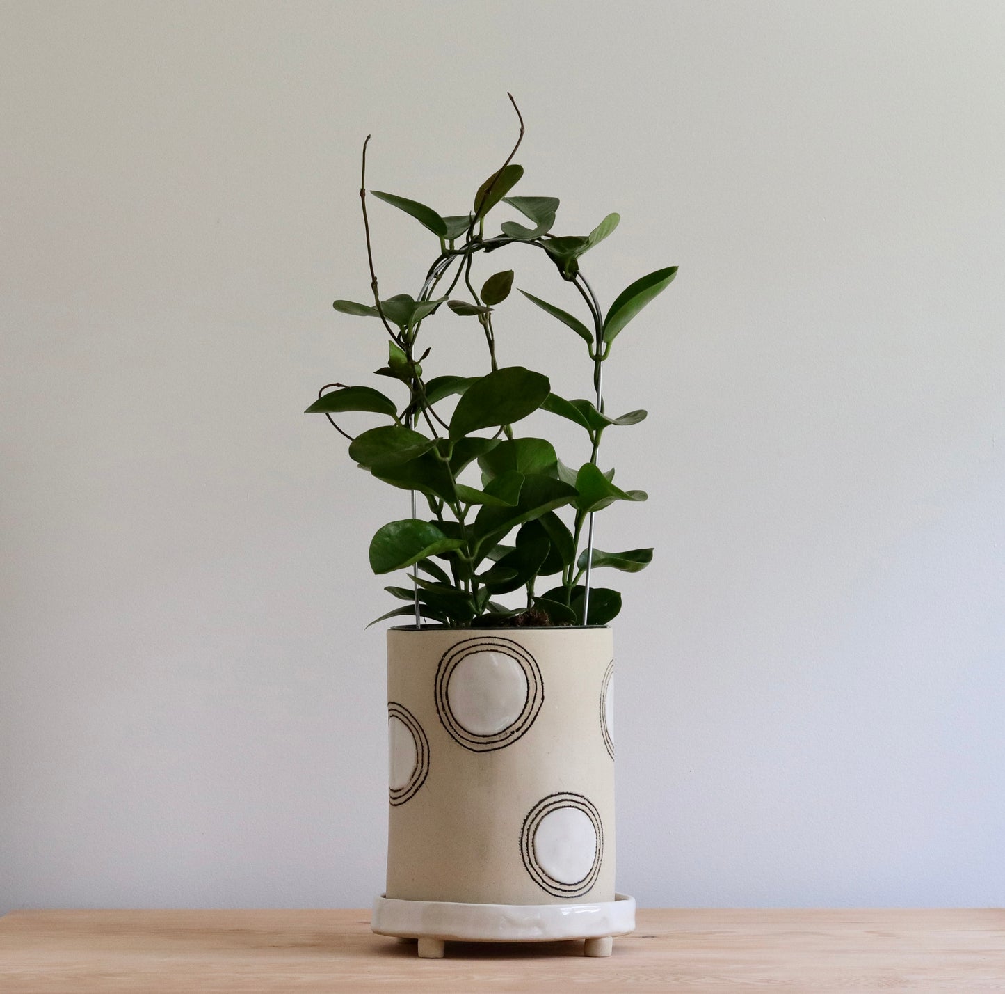 Workshop: Build a Planter - October 1 - October 22, 2026