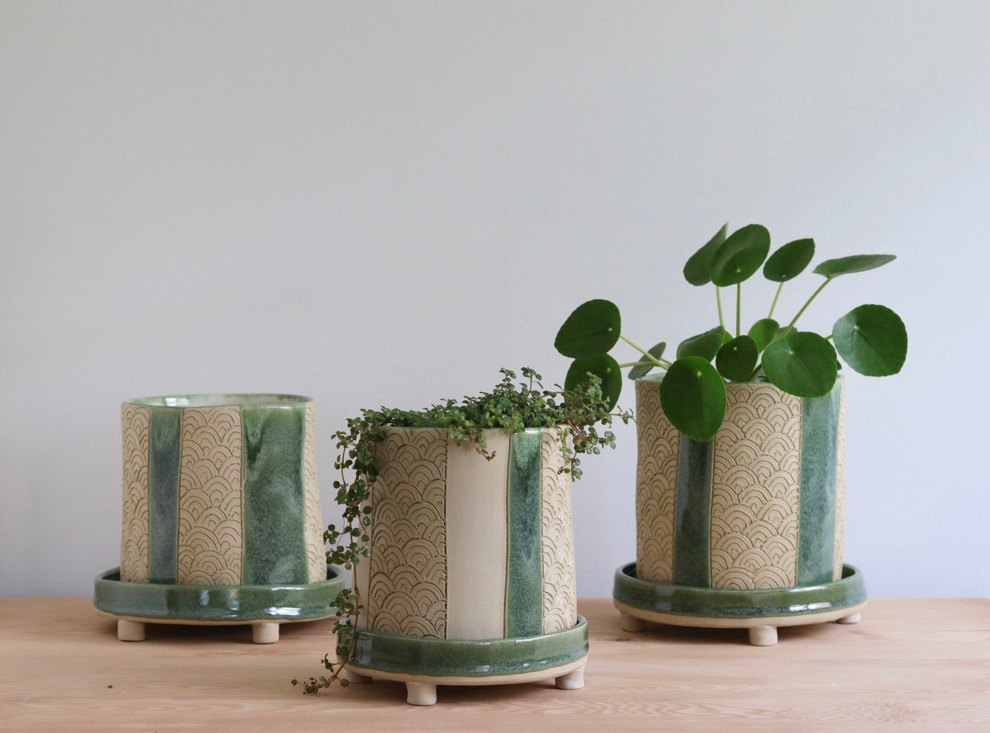 Workshop: Build a Planter - October 1 - October 22, 2026