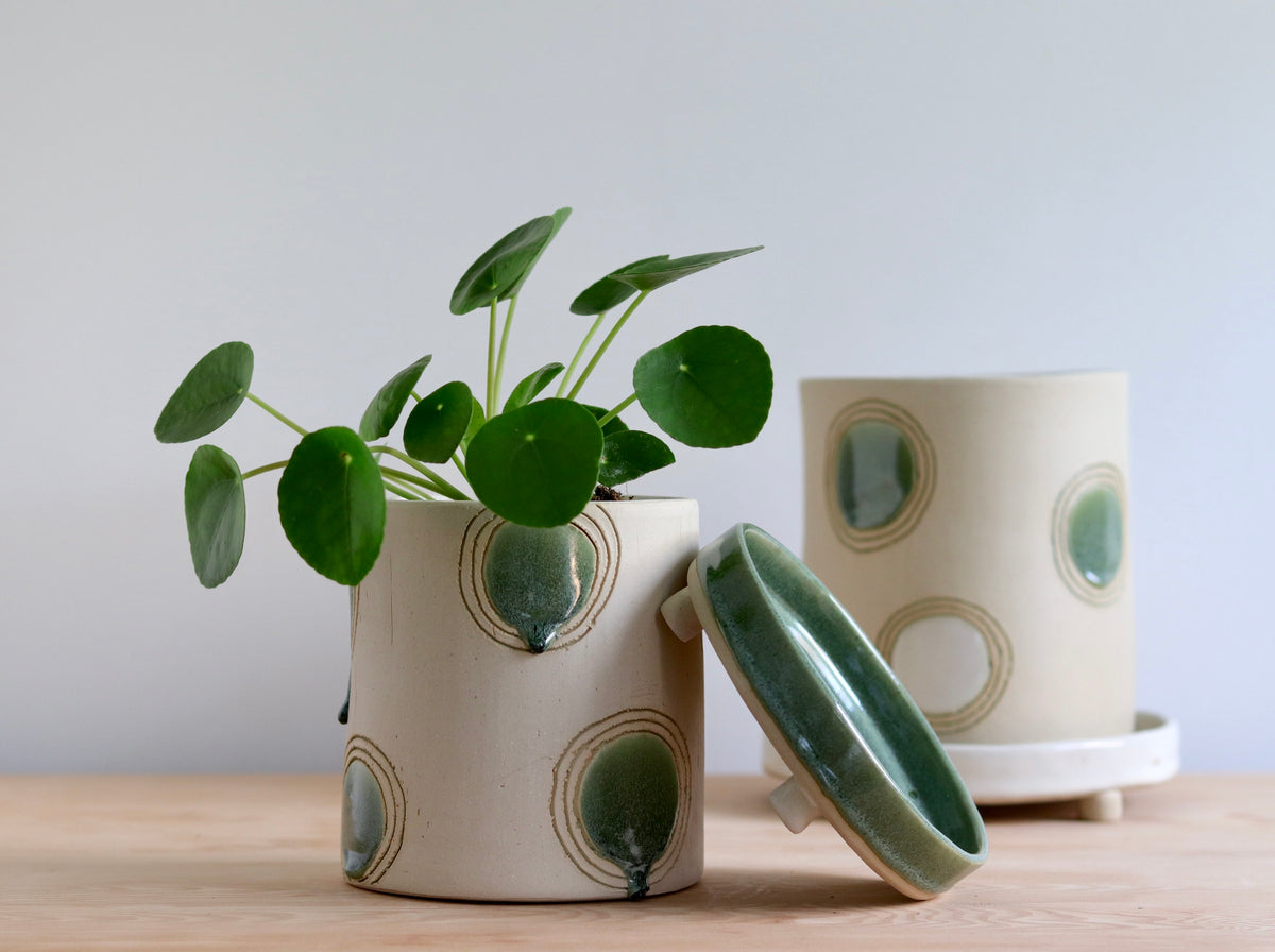 Planter - Circle design - with green and white accents
