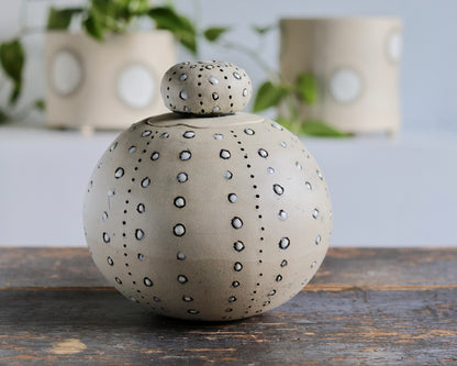Urn - White Sea Urchin