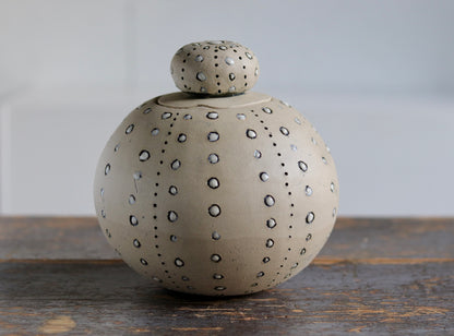 Urn - White Sea Urchin