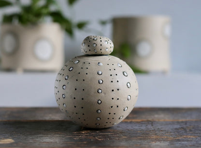 Urn - White Sea Urchin