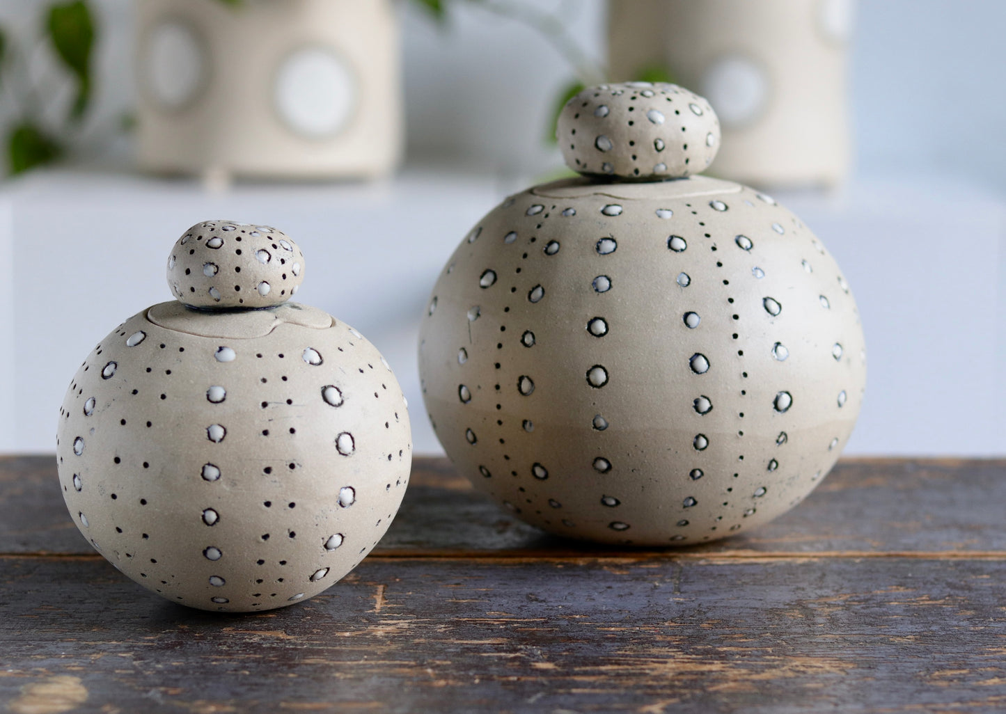 Urn - White Sea Urchin