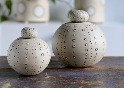 Urn - White Sea Urchin